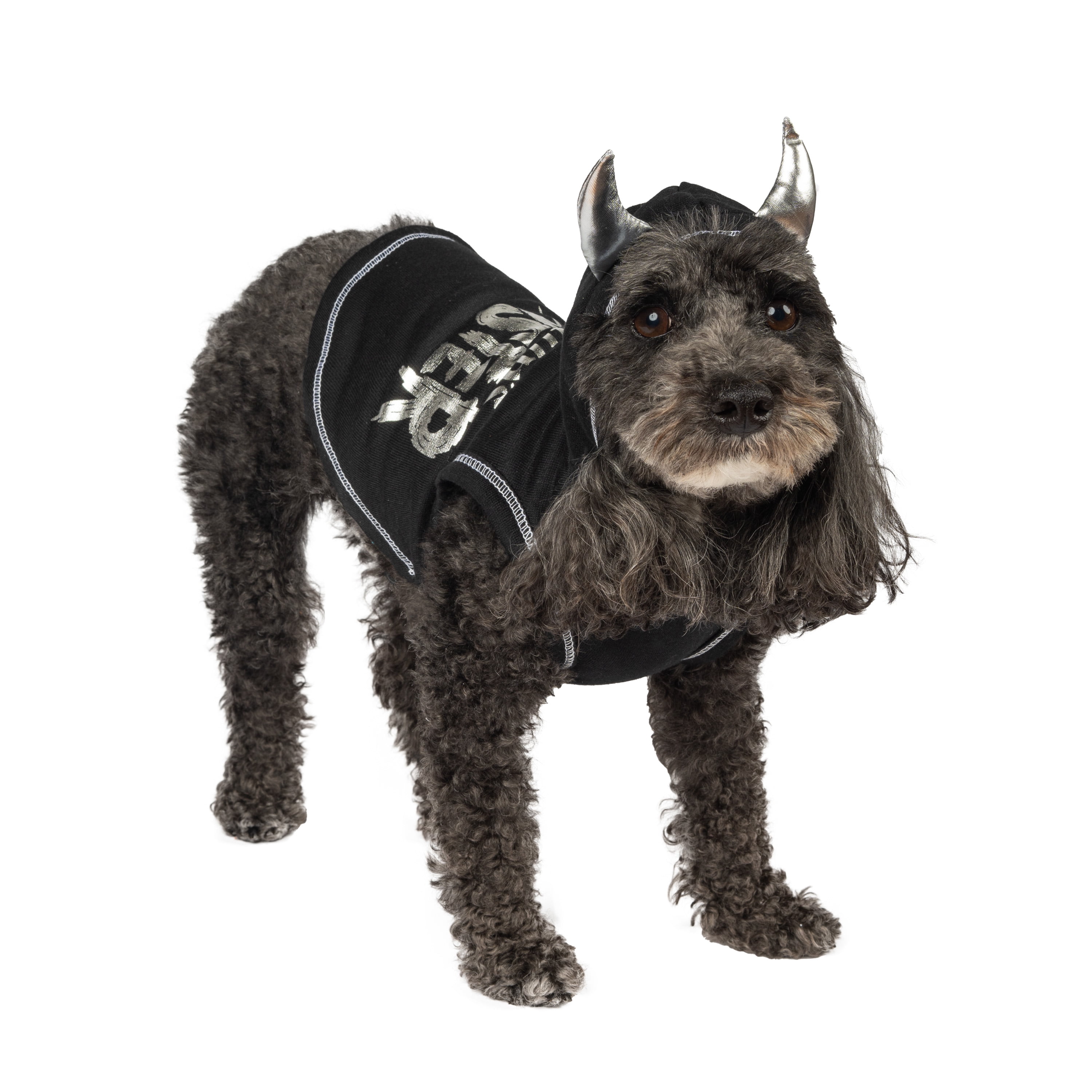 Vibrant Life Dog Clothes, Mommy's Little Monster Halloween