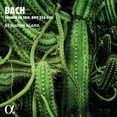 thumbnail image 2 of Benjamin Alard - Trio Sonatas for Organ - Music & Performance - CD, 2 of 2
