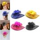 thumbnail image 1 of 4 piezas de malla sombrero pelo Clip cóctel té fiesta boda Kentucky Derby Amarillo Azul Negro Rosa Rojo Hugo sombrero tocado, 1 of 10