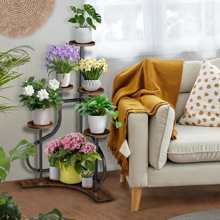 indoor plants sale Edible Houseplants : Grow Your Own Citrus, Coffee, Vanilla, and 43 Other Tasty Tropical Plants main image 0