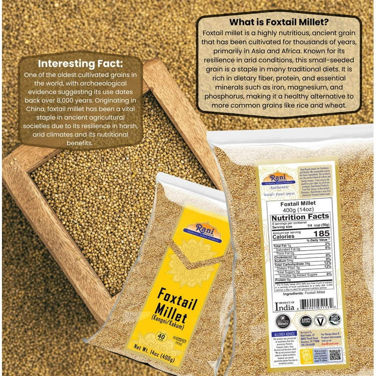 ☆millet☆ Amazon.com : SeedRanch Japanese Millet Seed - 10 Lbs