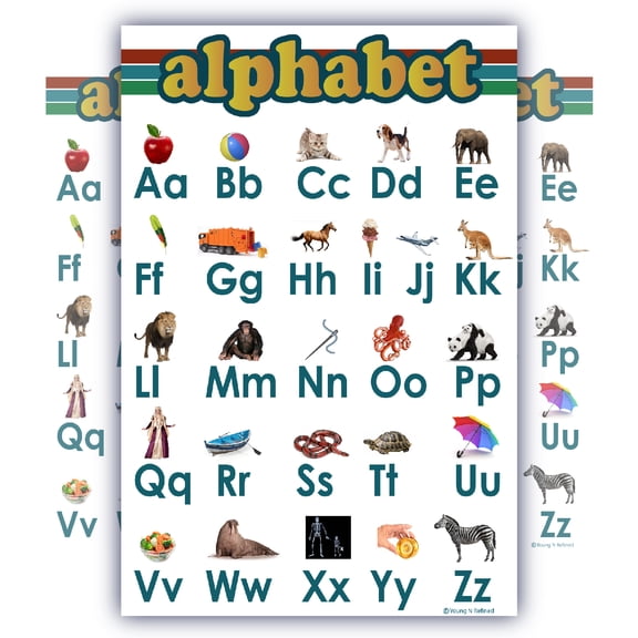 Young N Refined ABC Alphabet Chart White Laminated 16" x 24" Poster