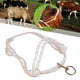 thumbnail image 1 of Halter con brida de toro para granjas de ganado domésticas, equipo de para s fuerte al aire libre Pequeño, 1 of 8