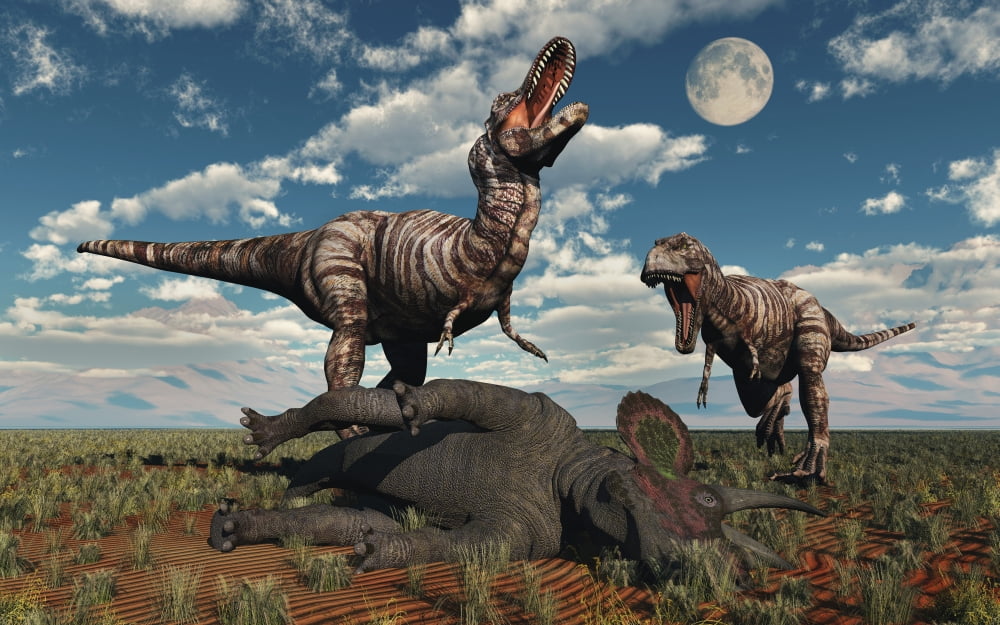 t rex eating a triceratops