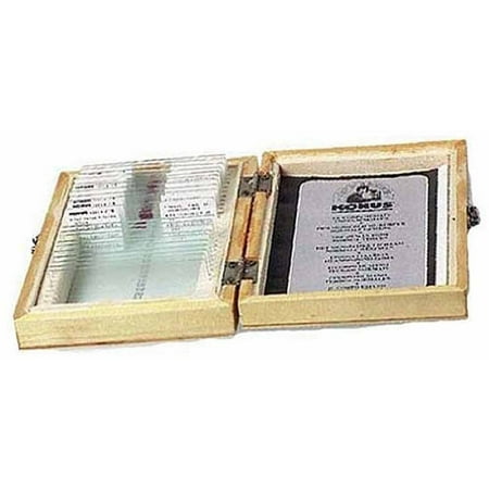 Konus Animal and Man Parasites Slide Set, 10 Slides