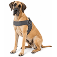 thumbnail image 3 of Vibrant Life Cushion Adjustable Slip-On Dog Harness, Gray, XL, 3 of 5