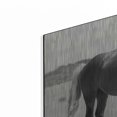 thumbnail image 2 of Luxe Metal Art 'Summer Grazing' by Lori Deiter, Metal Wall Art, 36"x24", 2 of 9