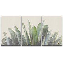 wall26 Canvas Print Wall Art Set Tropical Jungle Banana Leaf Collage Nature Floral Digital Art Modern Decorative Rustic Botanical Relax/Calm for Living Room, Bedroom, Office - 24"x36" x 3 P