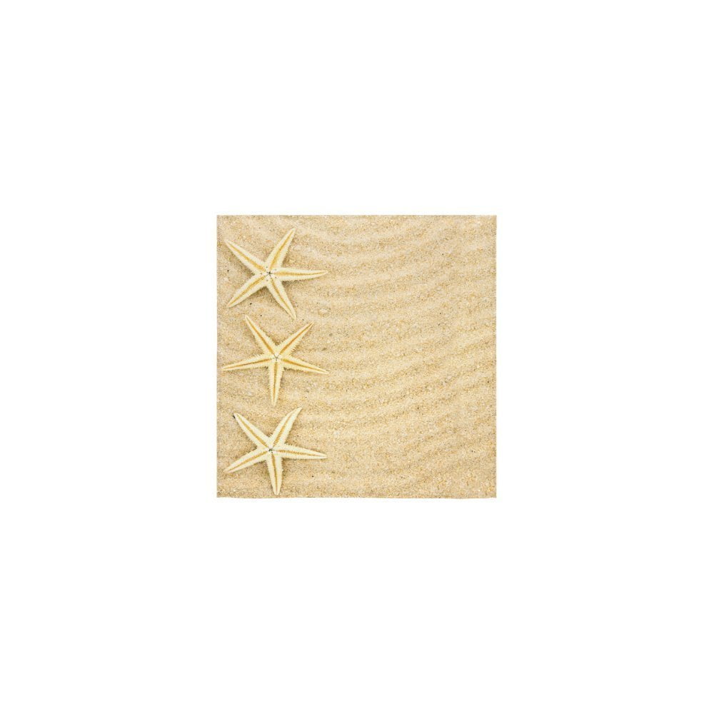 ZKGK Seashells Starfish Hawaii Summer Sand Beach Seaside Washcloth Dish Cloth Bath Towels For Bathroom Kitchen and Travel Use,13'X13' Square