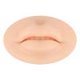 thumbnail image 3 of Silicona reutilizable boca labios tatuaje práctica piel elasticidad humano labio molde Ndcxsfigh Cuidado Belleza, 3 of 5