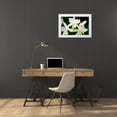 thumbnail image 4 of Alan Hausenflock 14x11 White Modern Wood Framed Wall Art Titled - White Lady III, 4 of 5