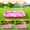 Pink, variant on Inflatable Tanning Pool Lounger Float with Sprinkler, 77" x 48" Pool Floats Adult with Pillow, 6 in 1 Suntan Tub Raft Floatie with Drink Holder Sunbathing Water Lounge