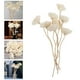 thumbnail image 3 of BRIGHTFUFU 3pcs Aroma Difusor de flores secas Difusoras de aceite esencial Aromaterapia Stickes de madera, 3 of 7