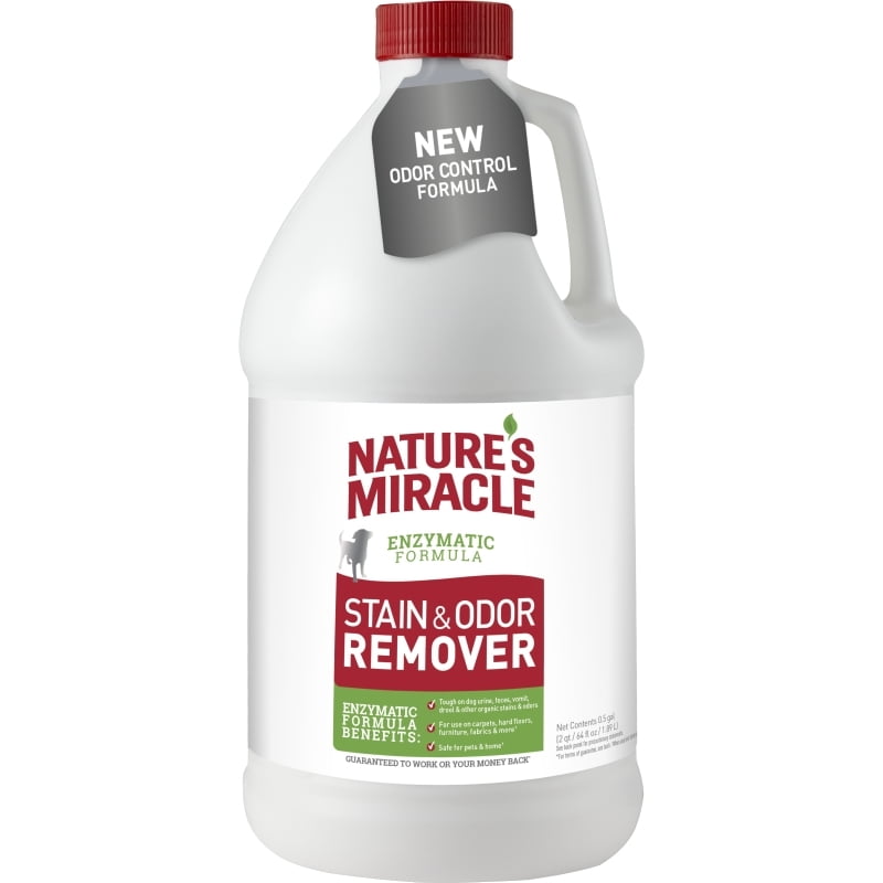 removing cat urine smell from leather furniture