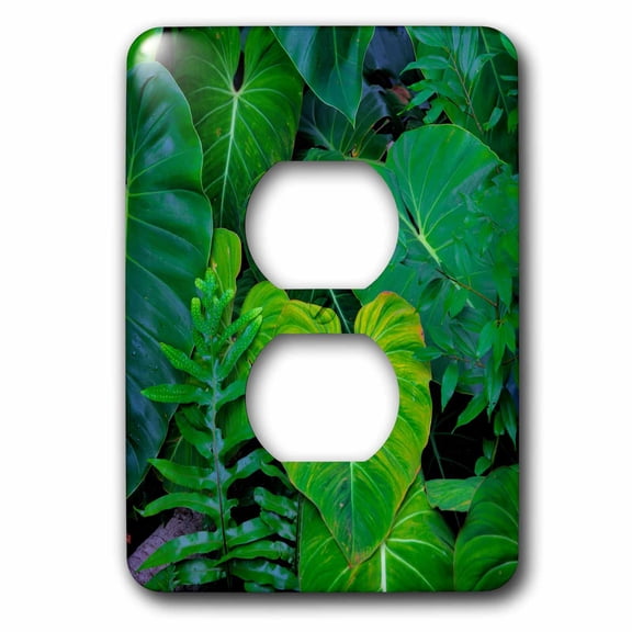 3dRose, USA, Hawaii, Oahu, Tropical green philodendrons., 2 plug outlet cover