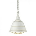 thumbnail image 1 of Golden Lighting 7312-S FW Mini Pendant Ceiling Light, 1 of 5