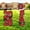 Black Red, variant on Extra Large 2026 Graduation Yard Sign Black and Gold Graduation Decorations Class of 2026 Waterproof Congrats Grad Garden Lawn Decor with Stakes for College School Grad Ceremony Party