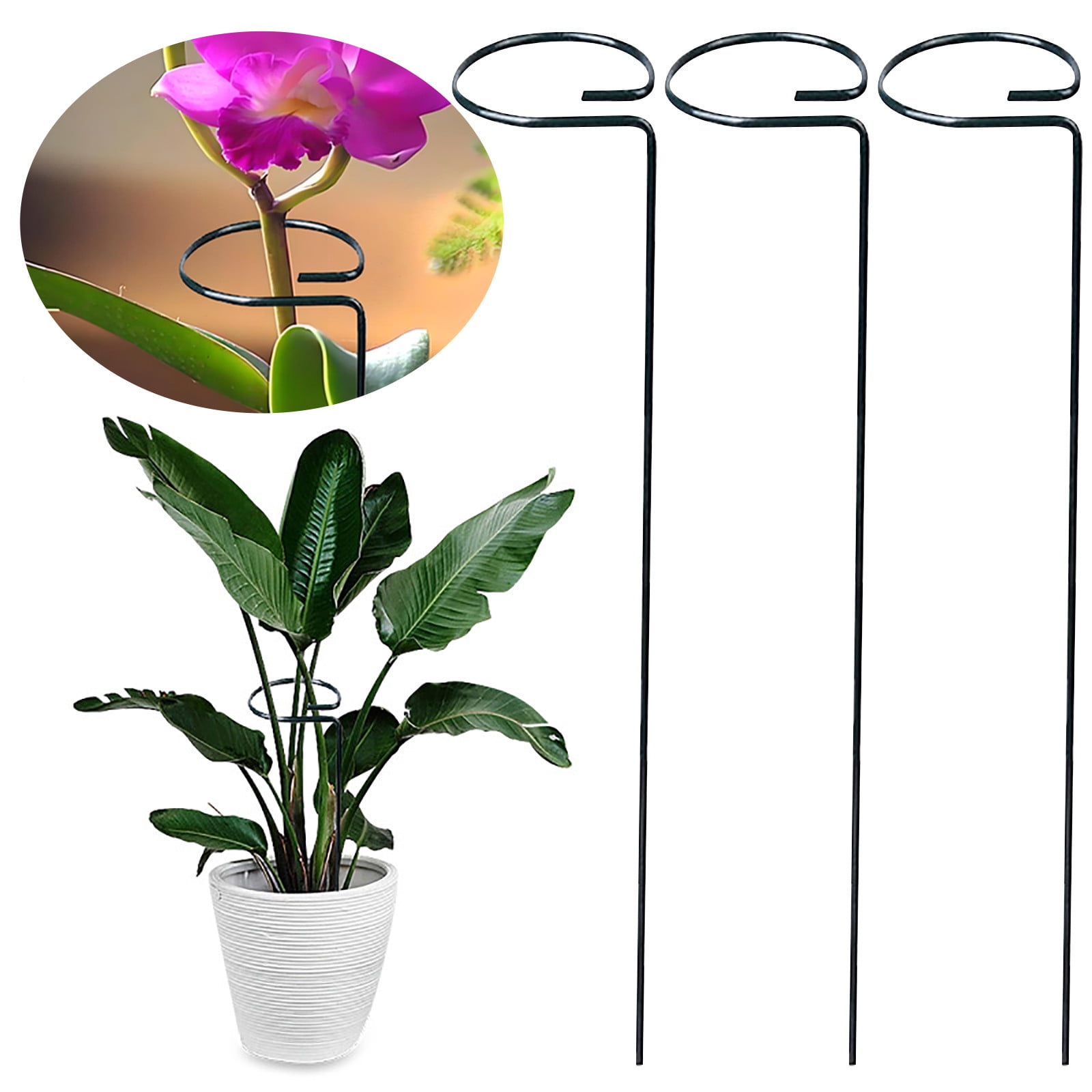 Support Cages Set, Metal Grow Through Supports with Legs for Peony Tomato Rose Garden Stabilizing 2PCS