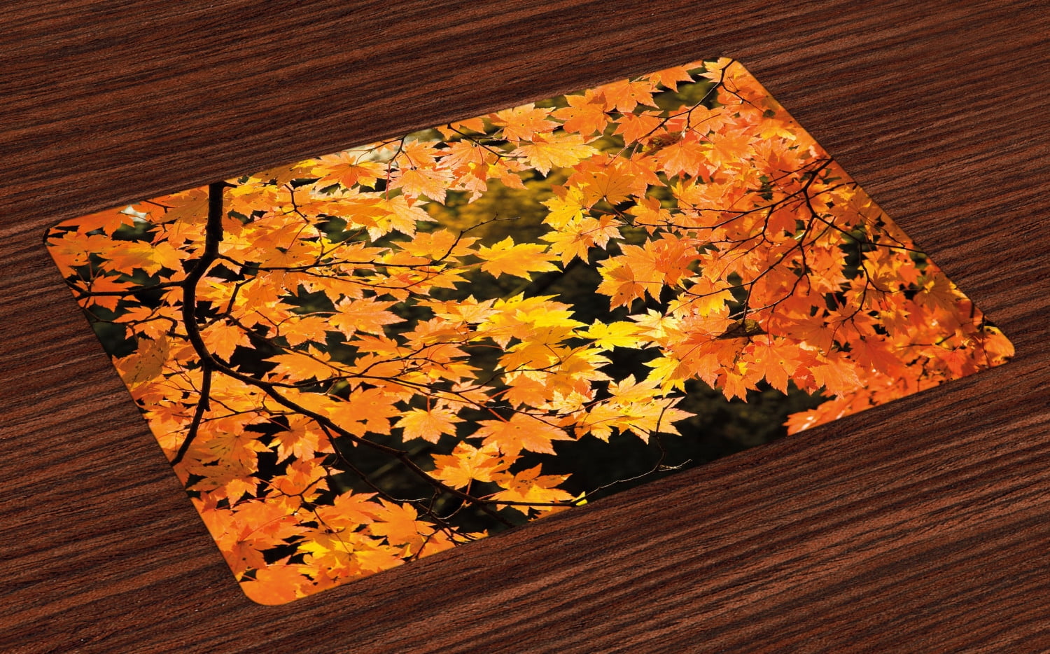 Fall Placemats Set of 4 Vibrant Leaves of Autumn Maple Tree Branches