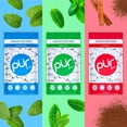 thumbnail image 4 of PUR Gum surtido de 3 sabores de menta, canela, menta, 4 of 6