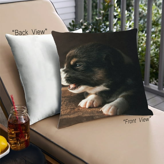 Ahgly Company Dogs Dogs Outdoor Throw Pillow, 18 inch by 18 inch