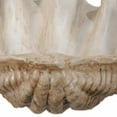 thumbnail image 5 of Benjara Medium Clam Shell Accent, White, 5 of 6