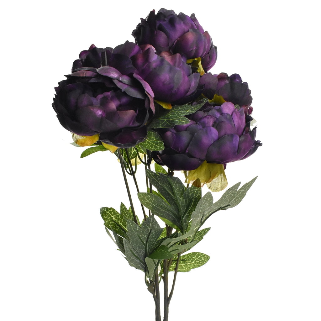 dark purple peonies