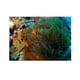 thumbnail image 2 of Cartel de fondo de acuario perfecl cara de PVC decoración de pecera terrario multicolor XS, 2 of 8