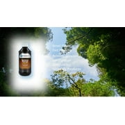Reliable- 1 Laboratories Senna Syrup 8OZ