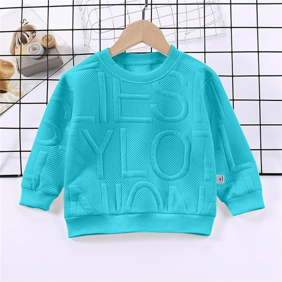 Huowey Big Boys Girls Crewneck Sweatshirt Relaxed Fit Loose Casual Pullovers Long Sleeve Solid Color Tops Basic Cozy Breathable Daily Wear,Blue,18-24 Months