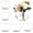Clear-3''-6Pcs, variant on Round Glass Vases Set of 6, Clear Flower Vases for Centerpieces, Glass Bowl Vase, Small Round Vase for Living Room, Bedroom, Kitchen, Dining Table, Office, Wedding, 4 Inches