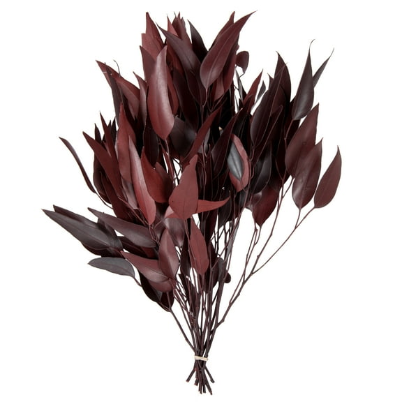 Vickerman 18" Red Weeping Willow Eucalyptus Foliage, 5 oz Bundle, Preserved