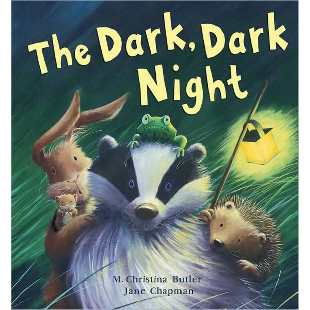 The Dark Dark Night Childrens Book