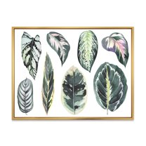 Designart 'Tropical Calathea Leaves On White' Bohemian & Eclectic Framed Canvas Wall Art Print