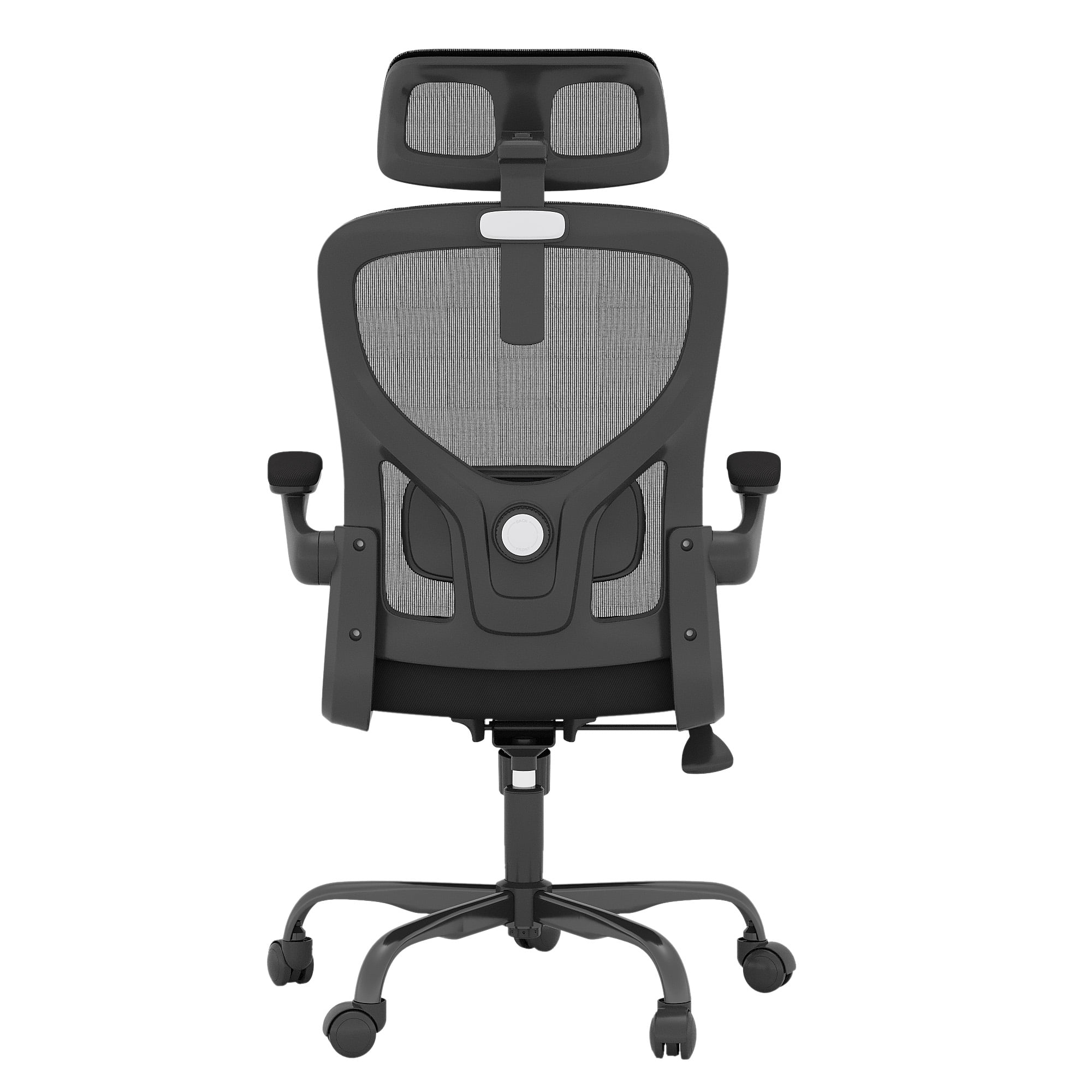 MAYEERTY Ergonomic Home Office Chair with Lumbar Support, Flip-Up Armrests, Headrest for Work & Study,Black
