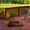 Brown, variant on Waterproof Memory Foam Pet Bed- Indoor/Outdoor Dog Bed with Water Resistant Non Slip Bottom and Removeable Washable Cover, 36 x 27 by PETMAKER -Brown