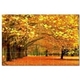 thumbnail image 1 of Trees Forest Ceramic Tile Mural Kitchen Backsplash Bathroom Shower, 401656-XL64, 1 of 3