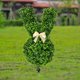thumbnail image 5 of Planta Falsa Pascua Bonsai Artificial Boxwood Rabbit Topiary (N), 5 of 9