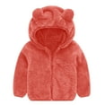 thumbnail image 2 of Bovxnpu Toddler Boys Girls Fall Winter Jacket, Girls Hooded Fleece Jacket Zipper Coat, Children's Top Zipper Solid Jacket Hooded Double-Sided Top Outewar Casual Blouse, 2 of 4