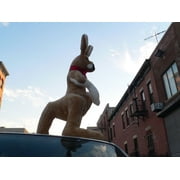 Big Plush Giant Stuffed Kangaroo, 42 Inches