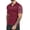 Wine Red, variant on Aiyino Sport Men's Polo Shirt, Men's Cool DRI Moisture-Wicking Performance Polo Shirt, Jersey Knit Performance Polo Shirt