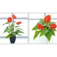 thumbnail image 7 of Artificial Plants Outdoor Artificial Potted Plants Fake Plants Green Realistic Faux Plants for Home Office House Desk Greenery Decoration - red, 7 of 7