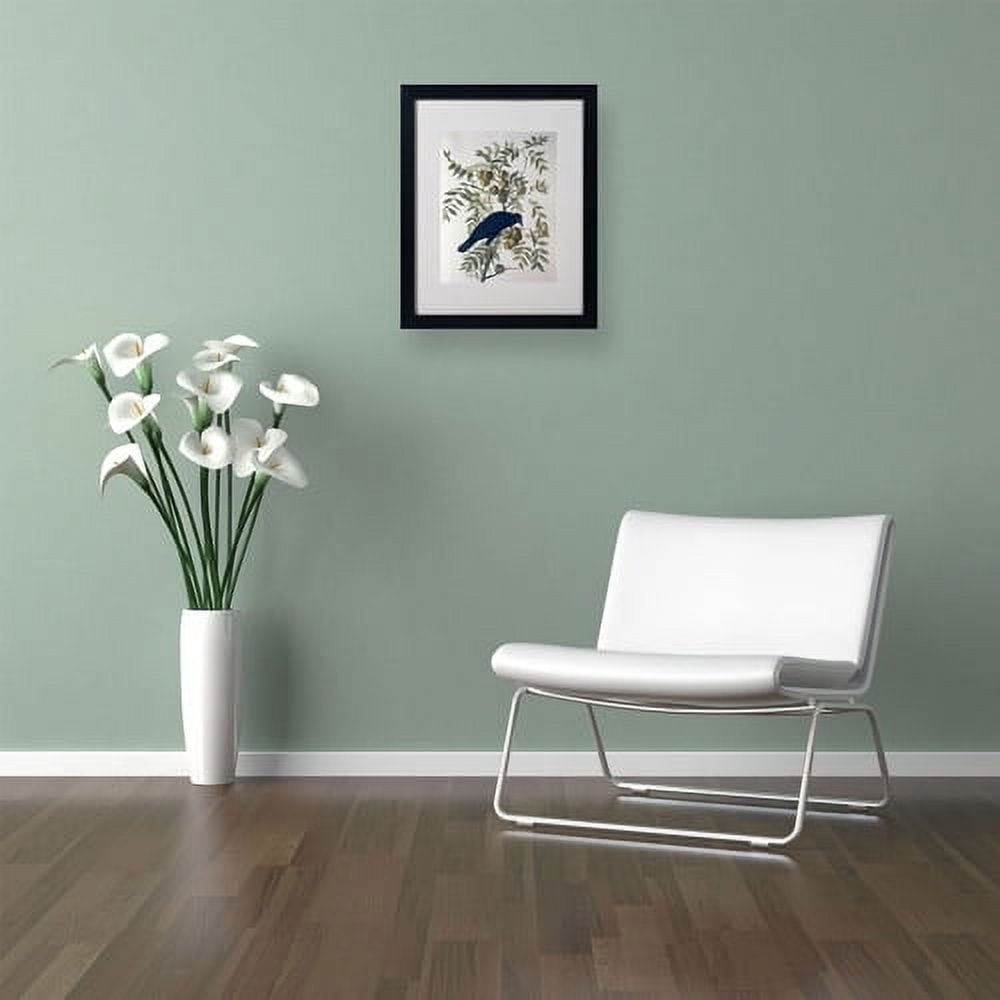 Trademark Fine Art "American Crow" Canvas Art by John James Audubon, Black Frame