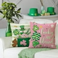 thumbnail image 4 of St Patricks Day Dessert Decorative Throw Pillow Covers 18 x 18 Set of 4, Cupcake Coffee Donut Lucky and Blessed Pink Outdoor Pillowcase, Spring Irish Shamrock Clover Cushion Case Home Decor, 4 of 6