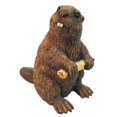 thumbnail image 1 of Beaver, 1 of 1