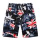 thumbnail image 1 of Pantalones cortos informales para hombre, Shorts transpirables de secado rápido, holgados, con estampado Hawaiano, a la moda, para la playa, novedad de verano Fivean unisex, 1 of 2