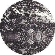 Art Carpet 841864116557 5 ft. Titanium Collection Seafoam Woven Round Area Rug, Gray