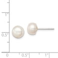 thumbnail image 2 of Primal Silver Sterling Silver White Freshwater Cultured Pearl 7-7.5mm Button Earrings, 2 of 4