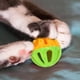 thumbnail image 5 of Juguete para gatos hueco de plástico de colores con sonido para gatos y perros, 10 unidades, 5 of 8