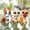 #244 #589 #1647, variant on Minilpsshop 3 PCS Little Pets Toys Figures Shorthair Cat #1120 Collie #1262 Kitten #134 with Accessories,Ideal Gifts for Boys and Girls